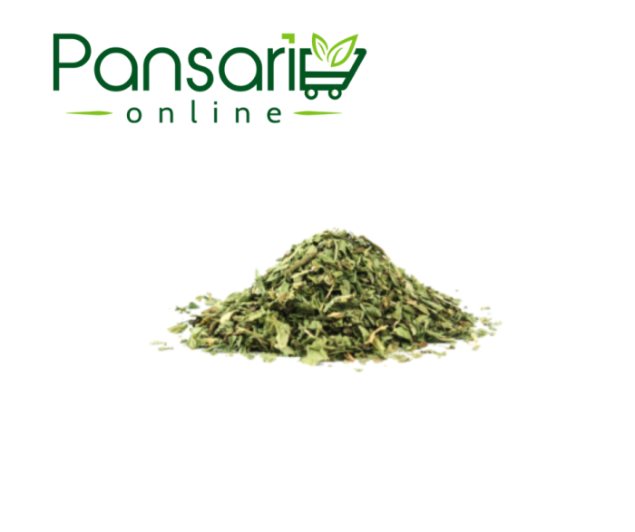 Wild Mint