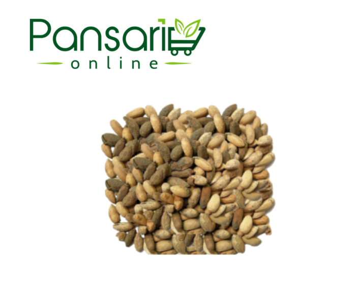 Neem Seeds ( Tukhm-e-Neem )